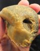 L Palaeolithic Mode 1 Unifacial Chopper Made On A Cobble C 700k,  Found Kent P519 Neolithic & Paleolithic photo 8
