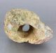 Jade Skull Pendant - Mesoamerican Statue - Antique Pre Columbian Artifacts The Americas photo 10