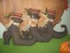 Pattern Primitive Halloween Salem Witch Shoes Bowl Fillers Cupboard Tuck Primitives photo 1