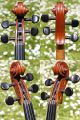 Fine Czech Violin By L.  F.  Prokop,  Chrudim,  1924.  Wonderful Tone String photo 9