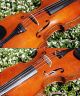 Fine Czech Violin By L.  F.  Prokop,  Chrudim,  1924.  Wonderful Tone String photo 10