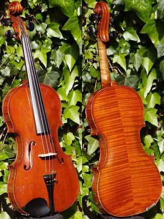 Fine Czech Violin By L.  F.  Prokop,  Chrudim,  1924.  Wonderful Tone photo