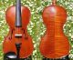 Fine Czech Violin By L.  F.  Prokop,  Chrudim,  1924.  Wonderful Tone String photo 1