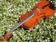 Fine Czech Violin By L.  F.  Prokop,  Chrudim,  1924.  Wonderful Tone String photo 4