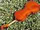 Fine Czech Violin By L.  F.  Prokop,  Chrudim,  1924.  Wonderful Tone String photo 5