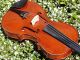 Fine Czech Violin By L.  F.  Prokop,  Chrudim,  1924.  Wonderful Tone String photo 7