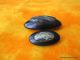 1247 – Two Stunning Mother - Daughter Antique Celluloid Oval Buttons W Pad Backs Buttons photo 2