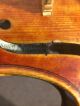 Neuner & Hornsteiner Violin String photo 9