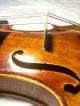 Neuner & Hornsteiner Violin String photo 1
