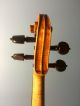 Neuner & Hornsteiner Violin String photo 6