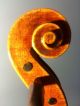 Neuner & Hornsteiner Violin String photo 8