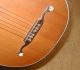 Antique German Guitar Lute - Fine Woods - Straight Neck - Needs Some Repair String photo 1