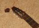 Antique German Guitar Lute - Fine Woods - Straight Neck - Needs Some Repair String photo 6