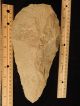 A Giant Million Year Old Acheulean Handaxe Early Stone Age Mauritania 1473gr Neolithic & Paleolithic photo 8