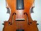 Fine Old Czech 4/4 Violin - Label Antonius Stradivarius Cremonensis Anno 1718 String photo 1