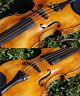 Vintage Czech Violin By B.  Dousa,  Budvicii,  1926.  Smooth,  Sweet Sound. String photo 9