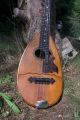 1930 Gelas Of France Mandolin,  French Antique Old Vintage Concert Roundback String photo 5