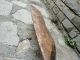 Antique Primitive Hand Carved Large Wood Dough Bowl Trencher Rare 19th Century Primitives photo 9