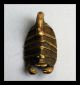 An Unusual Scorpion 18 - 19thc Akan Gold Weight Other African Antiques photo 2