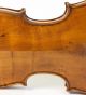 300 Years Old Antique 4/4 Violin F.  Gobetti 1790 Geige Violon String photo 8