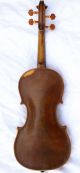 Antique Stradivarius Labeled Ready - To - Play Sound Sample String photo 3
