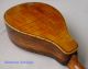 Antique Fiddle Back Maple Mandolin Circa 1900 String photo 6