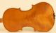Old Violin Labeled L.  Ventapane Geige Violon Violino Violine Fiddle Appr.  1850 String photo 6