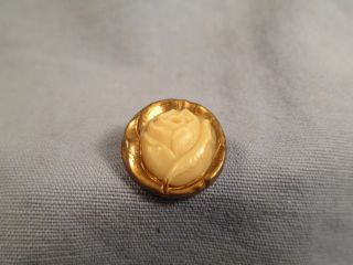 Ivory Color Rose W/ Gold Trim Button - Glass / Jn 116 photo