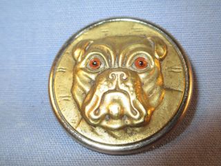 Rare Antique Bulldog Button W/ 2 Color Glass Eyes 1 1/2 