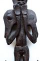 Great Old Middle Sepik Hook - Png 1950 ' S Pacific Islands & Oceania photo 2