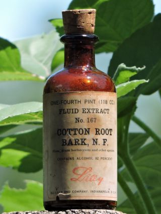 Cotton Root Bark,  N.  F.  Eli Lilly & Co.  Indianapolis Corked & Labeled Bottle photo