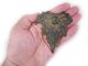 Choice Roman Bronze Wine Vessel Fragment,  Grape Leaf Shape Roman photo 5