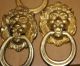 12 Cast Brass Early American Lion Head Ring Reproductions. Drawer Pulls photo 1