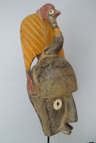Mali: Old - Rare Large Tribal African Bambara Mask. photo