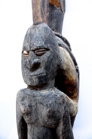 Middle Sepik Flute Stopper - Collected Png 1960 ' S photo