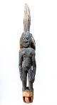 Middle Sepik Flute Stopper - Collected Png 1960 ' S Pacific Islands & Oceania photo 1
