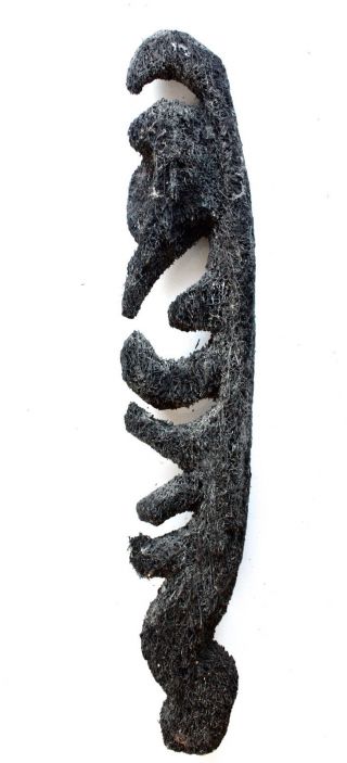 Very Rare Tree Fern Figure - Yipwon Hook Png 1950 ' S photo