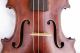 Antique French Labeled Violin Maxime Angard A Paris 1899 Ready - To - Play String photo 3