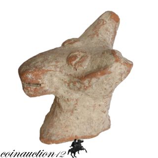 Cyprus Found Bronze Age Terracotta Zoomorphic Head 2500 - 1500 Bc photo