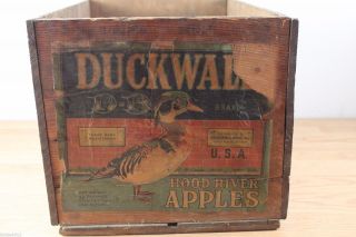 Vintage Wooden Fruit Crate - Duckwalk Brand - Hood River Apples - Usa Oregon photo