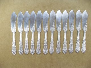 Rare 12 Individual Butter Spreaders In 1908 Lily Pattern By International Rogers photo
