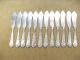 Rare 12 Individual Butter Spreaders In 1908 Lily Pattern By International Rogers Flatware & Silverware photo 1