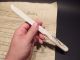 Vintage Antique Style Carved Bone Nautical Mermaid Letter Opener Desk Scrimshaws photo 7