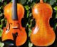 Vintage Czech Violin By Ladislav Herclik,  Kolin,  1942.  A,  Build,  Brilliant Sound String photo 10