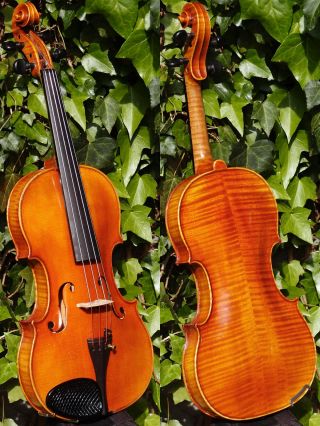 Vintage Czech Violin By Ladislav Herclik,  Kolin,  1942.  A,  Build,  Brilliant Sound photo
