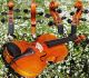 Vintage Czech Violin By Ladislav Herclik,  Kolin,  1942.  A,  Build,  Brilliant Sound String photo 4