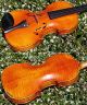Vintage Czech Violin By Ladislav Herclik,  Kolin,  1942.  A,  Build,  Brilliant Sound String photo 7