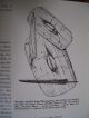 Ancient Iron Halstatt Culture Celtic Ring Pommel Short Sword.  C.  300 - 200 Bc Celtic photo 8