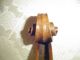 Antique Italian Violin Violino 4/4 1840 Joseph Ceruti /son To Famous Giovanni String photo 1