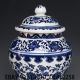 Chinese Blue And White Hand - Painted Porcelain Pot Pots photo 1